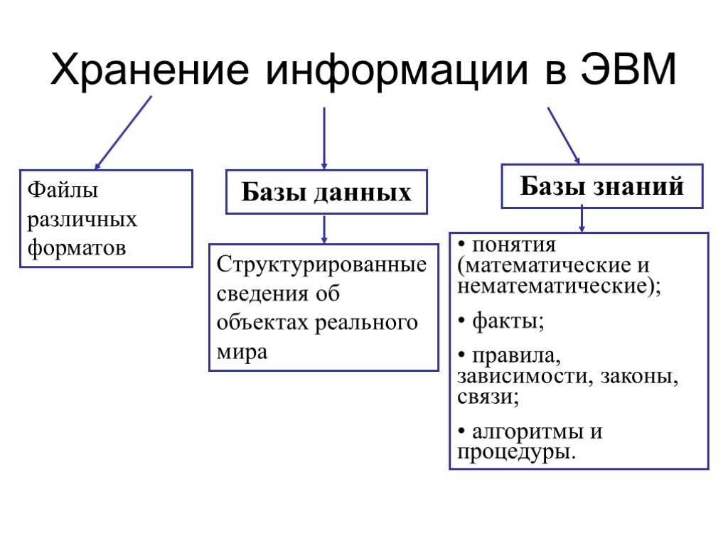 Хранение информации в ЭВМ